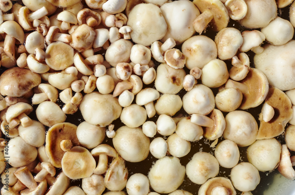 Clean, peeled Suillus mushrooms in metal pan. Fresh cooked mushrooms on a wooden background