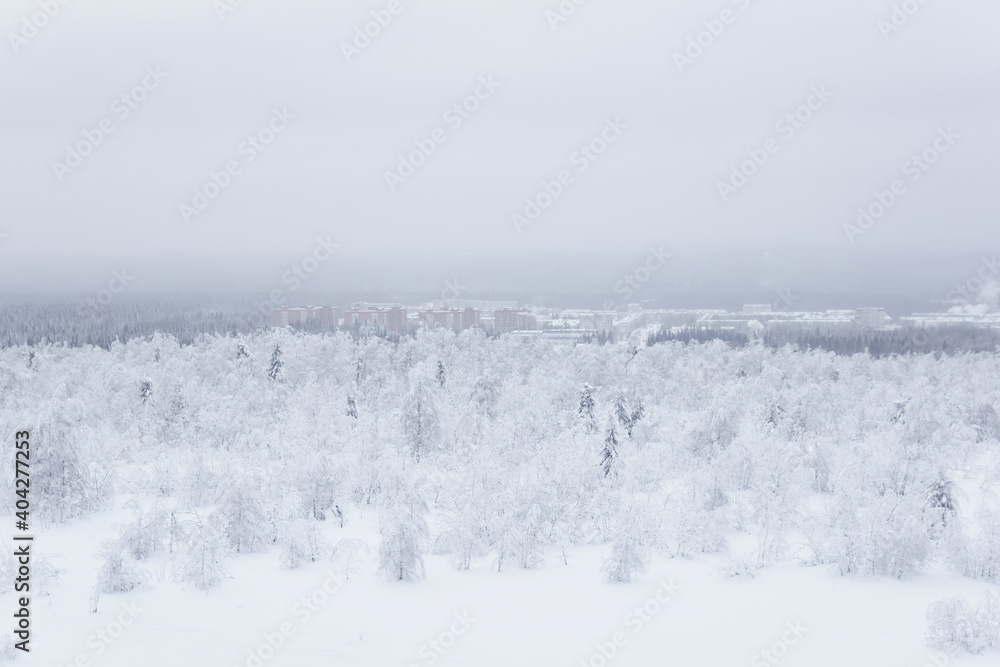 frosty winter landscape - a distant town in a valley in the middle of snowy forests in a frosty haze