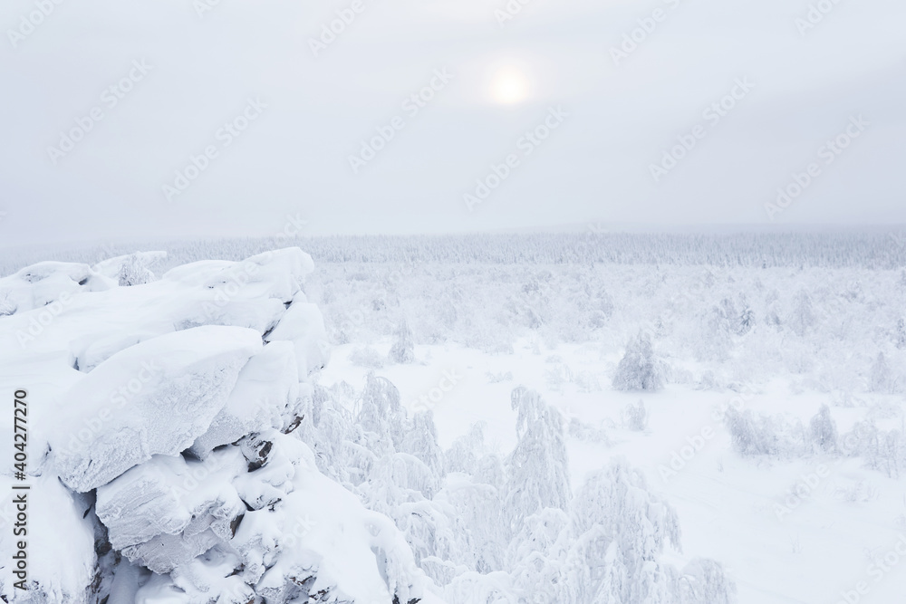 winter view from rocky mountain ridge to the snowy wooded hills in frosty fog winter view from rocky mountain ridge to the snowy wooded hills in frosty fog