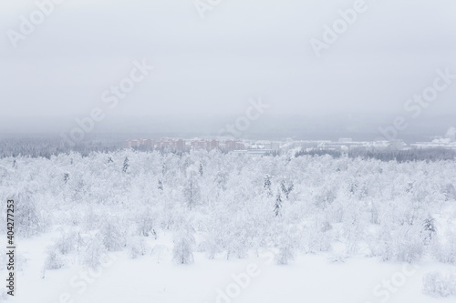 frosty winter landscape - a distant town in a valley in the middle of snowy forests in a frosty haze © Evgeny