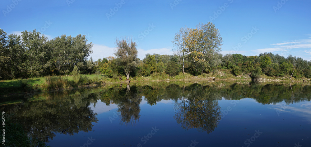 Fototapeta premium Donauauen im Spiegel