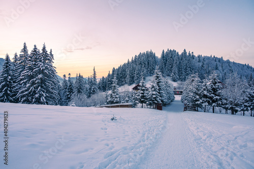 winter landscape with snow covered trees and footpath leading to a cottage in the mountains