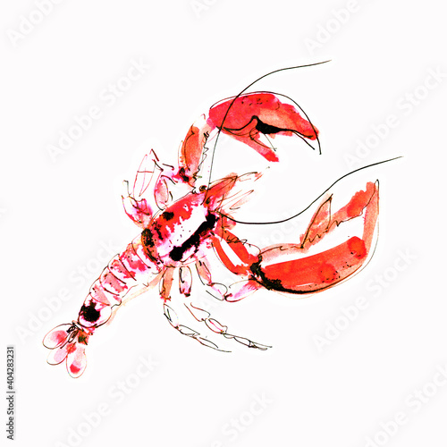 Watercolor lobster on a white background. Graphic art. Ink drawing. Hand drawing. Postcard, design, wallpaper, poster, graphic resource.