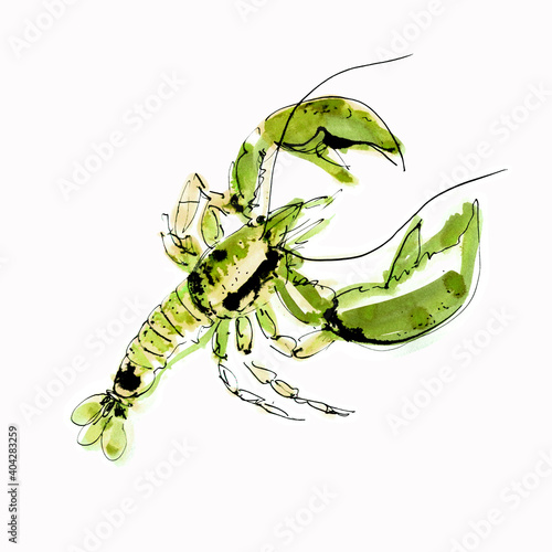 Watercolor lobster on a white background. Graphic art. Ink drawing. Hand drawing. Postcard, design, wallpaper, poster, graphic resource.
