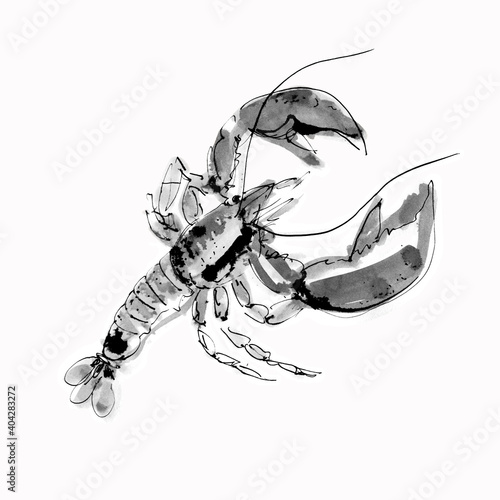Watercolor lobster on a white background. Graphic art. Ink drawing. Hand drawing. Postcard, design, wallpaper, poster, graphic resource.