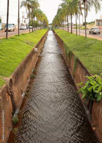 Palmito stream in the city of cassilandia photo