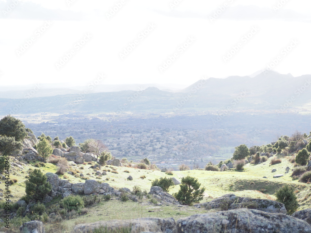 La Machota