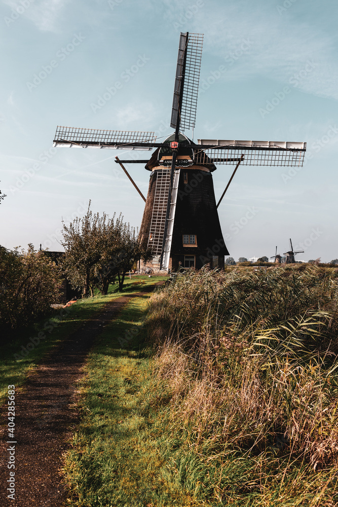 Fototapeta premium Historic windmill in the Netherlands