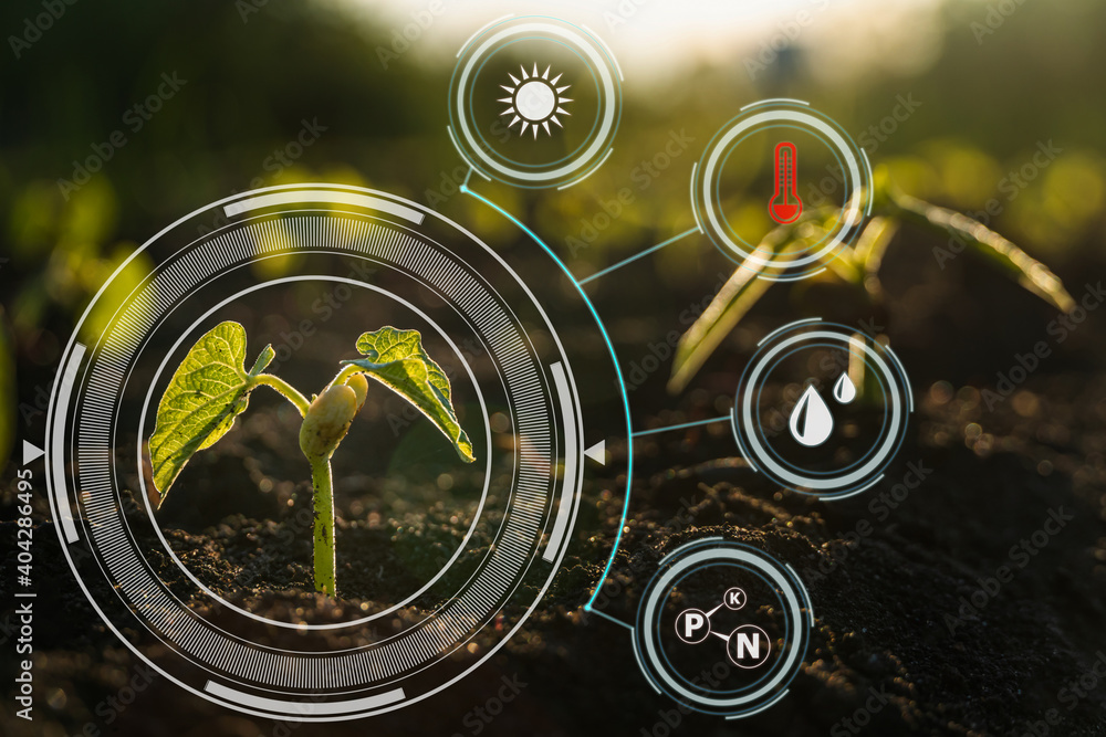 Sprout Technology Smart farm technology: plant sprout growing in soil with infographics ...