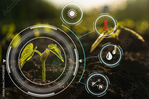 Smart farm technology: plant sprout growing in soil with infographics icons and red alert icon of temperature for environmental
