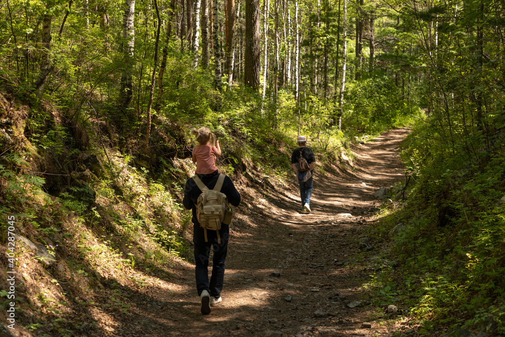 Obraz premium Father walks along a forest trail with his little daughter