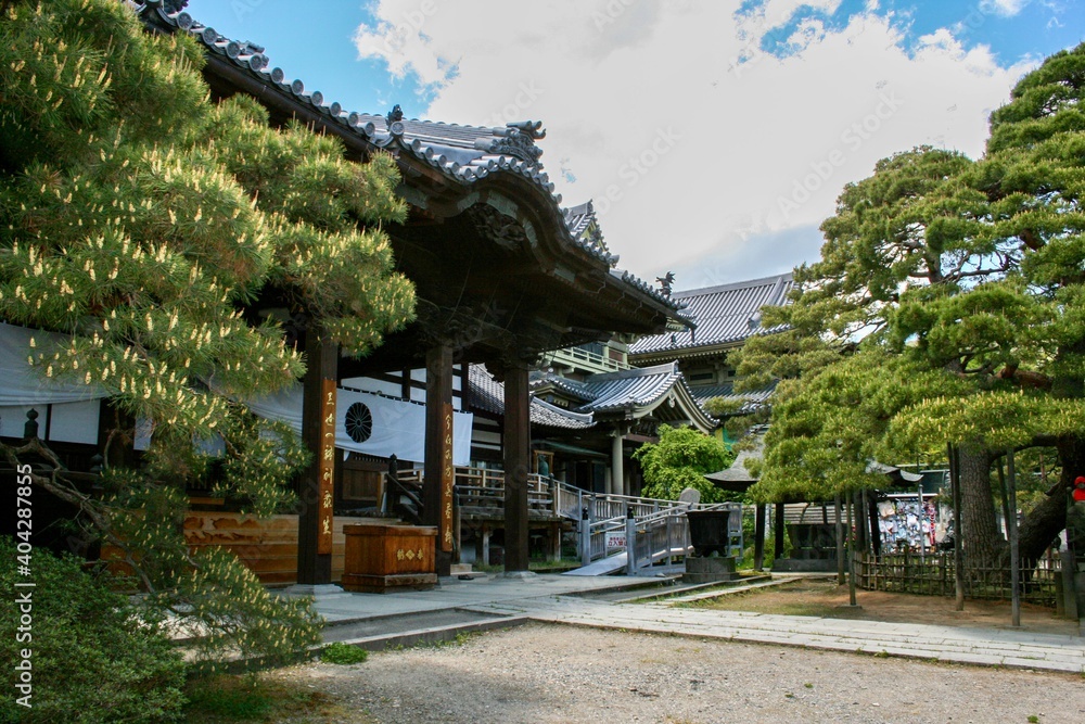 Fototapeta premium lake como country