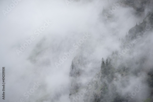 Mist in the mountains of the Bavarian alps near Garmisch Partenkirchen with some barely visible trees no. 2 © Christian Wohlfahrt
