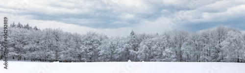 Quadro em tela Panorama of snowy landscape in winter in Germany.