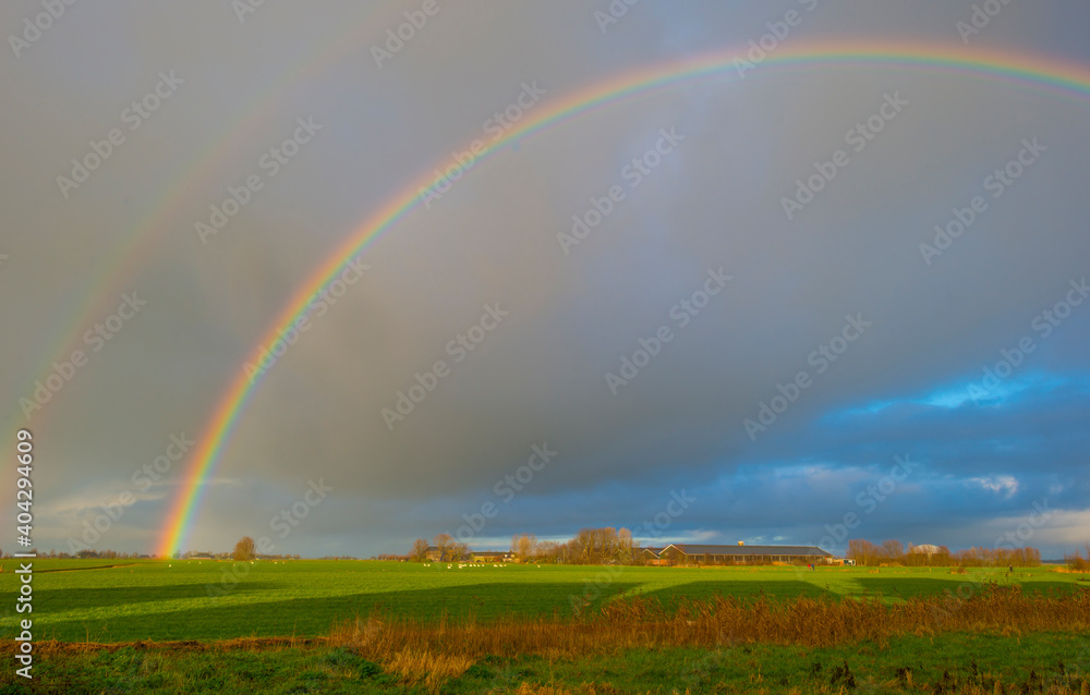 Double rainbow and yellow grey rain clouds over a windy rainy green meadow in bright sunlight in winter, Leeuwarden, Friesland, The Netherlands, January 9, 2021 Double rainbow and yellow grey rain clouds over a windy rainy green meadow in bright sunlight in winter, Leeuwarden, Friesland, The Netherlands, January 9, 2021
