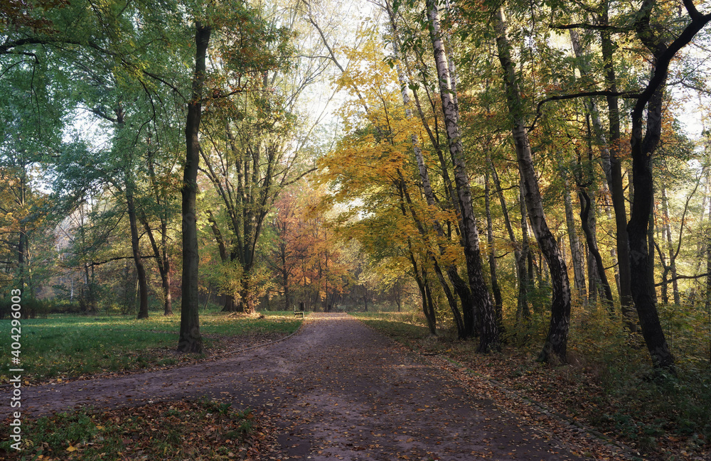 October morning in the park, slightly foggy start of a sunny day