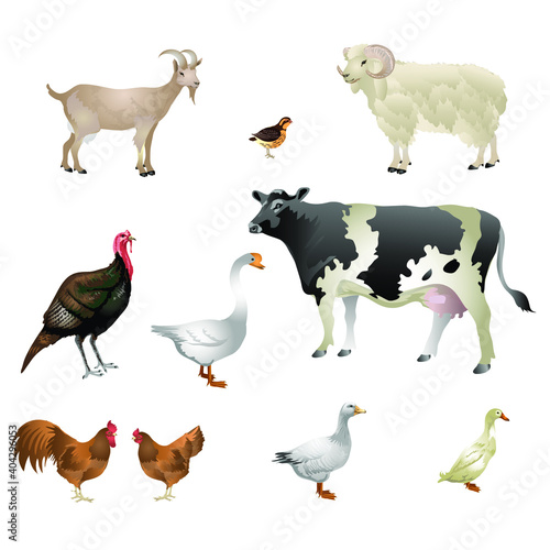 farm lifestock animals collection © bambang prihnawan