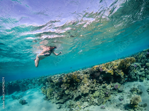 Young woman snorkeling at coral reef of Red Sea