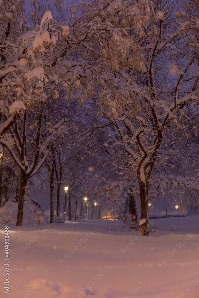 Madrid, Spain; January 9, 2021: Historic snow in the capital. Madrid, Spain; January 9, 2021: Historic snow in the capital.