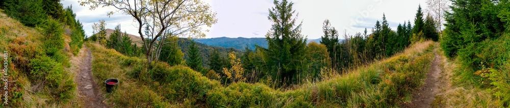 Beautiful autumn panorama of yellow and red trees against the background of big mountains