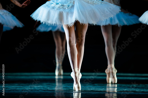 Swan Lake ballet.