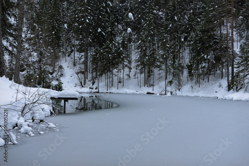 Frozen lake in the forest. 