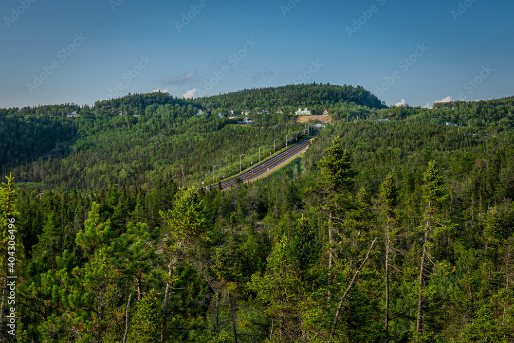 American road passing across a huge green forest in Tadoussac, Quebec, during summer at golden hour