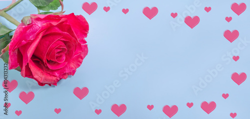 Valentine's Day banner background. Red rose with a frame of red hearts on a blue background with copy space.