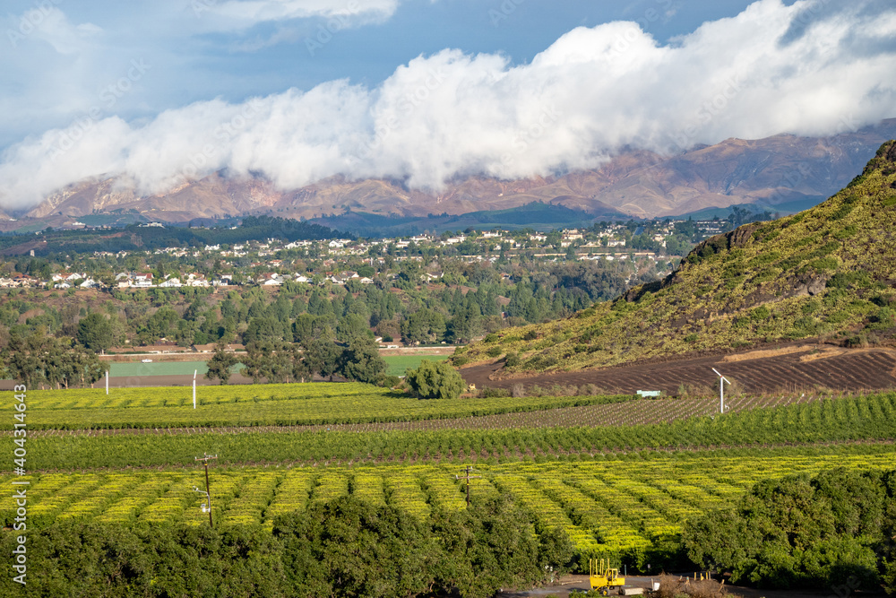 Valley of citrus trees and agriculture farming  with mountains covered in clouds in California