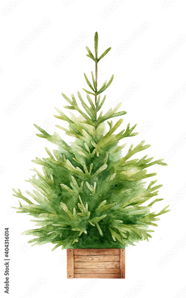 Christmas tree painted in watercolor Christmas tree painted in watercolor