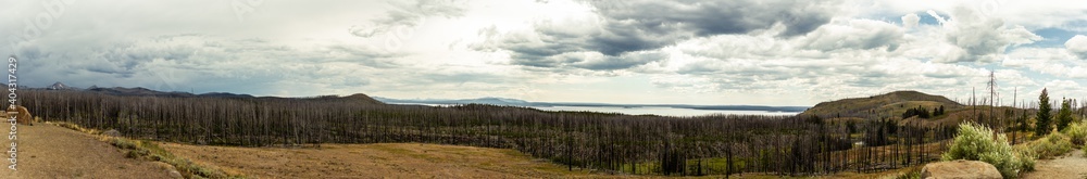 Wide shot of cloudy sky and withered trees with lake in yelowstone national park in america