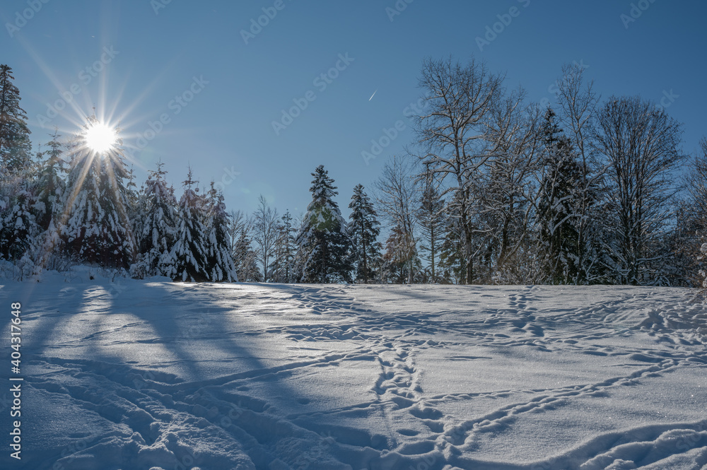 Fototapeta premium Schwarzwald, Neuenweg 