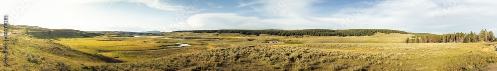 Panorama shot of flat nature and meadows in yellowstone national park in america