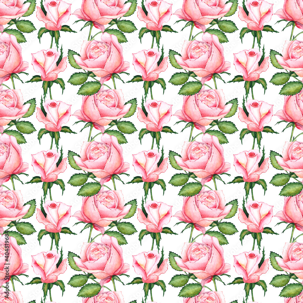 Fototapeta Seamless pattern with pink watercolor roses and leaves.