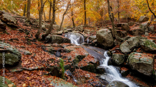 Colors of autumn in a forest close to Barcelona, Spain photo