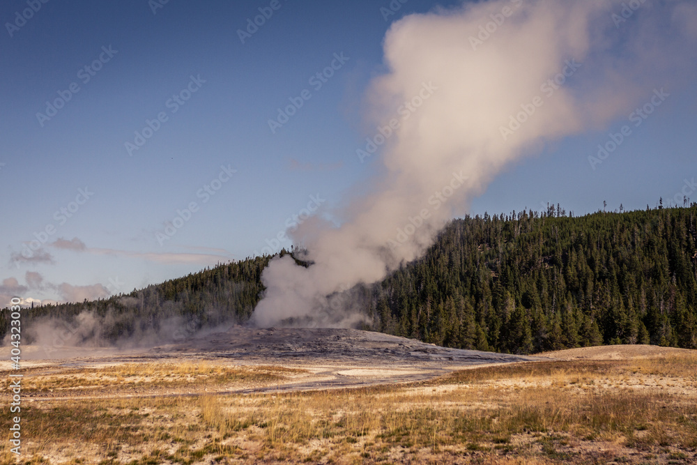 Close up of steaming and gushing old faithful geyser in thermal nature of yellowstone national park in america