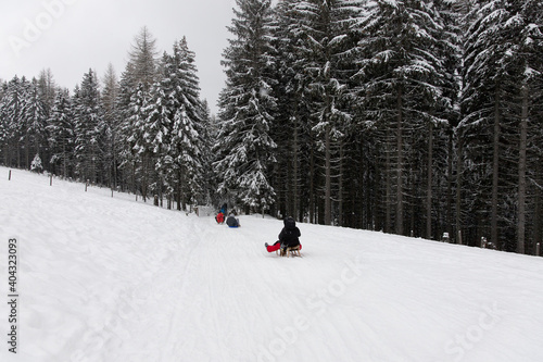 People sledging down a snow covered road in a snowy forest on a wooden sleigh.
