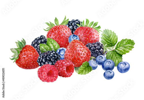 Wild berries composition watercolor illustration isolated on white background