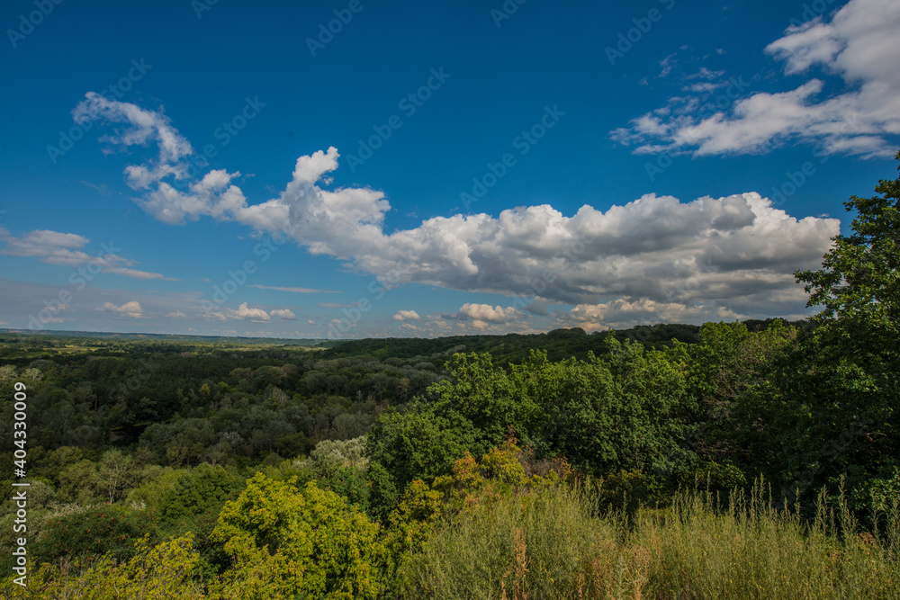 Fototapeta premium white clouds on the blue sky and forest and meadows.
