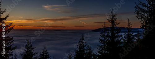 View from mountain range to the valley above fog and clouds at sunset, high altitude landscape,spruce trees,sun,blue sky,clouds, sunlight,temperature inversion. Jeseniky mountains,Czech Republic. .