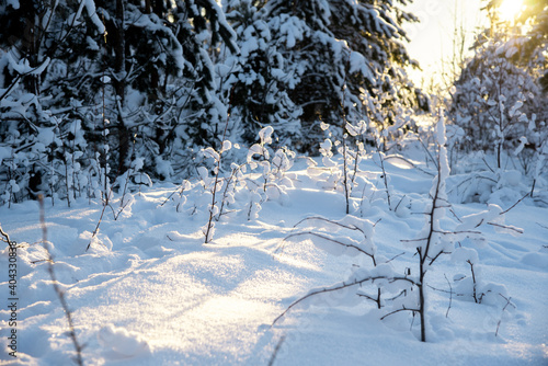 Fantastic landscape glowing by sunlight. Dramatic wintry scene. Kingisepp, Russia, Europe. Beauty world. Happy New Year