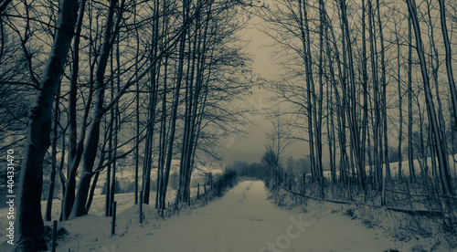 Country road during heavy snowfall, bad weather, fog, trees covered with snow and rime, mountain landscape. Jeseniky mountains,Czech Republic. .