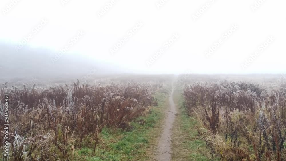 Pan shot of a fog plus smog in the haunting kind of environment in the outdoors and an offroad track in between grass covered with snow flakes. Foggy climate in the air Pan shot of a fog plus smog in the haunting kind of environment in the outdoors and an offroad track in between grass covered with snow flakes. Foggy climate in the air