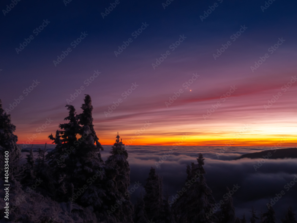 Scenic landscape with spruce trees covered with rime after sunset, view from a mounatin range to the valley filled with fog and low clouds during temperature inversion. Jeseniky.Czech republic. . Scenic landscape with spruce trees covered with rime after sunset, view from a mounatin range to the valley filled with fog and low clouds during temperature inversion. Jeseniky.Czech republic. .