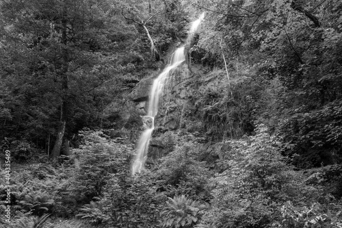 Long exposure of the waterfall flowing over the cliff at Canonteign Falls in Dartmoor photo