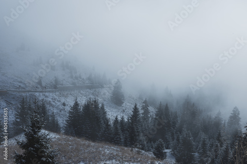 Beautiful Winter in the mountain forest with fog © Elena