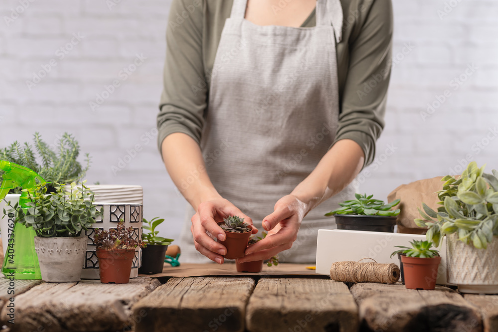 Φωτογραφία indoor, plant, flower, home, woman, gardening, green, nature, pot, leaf, garden,