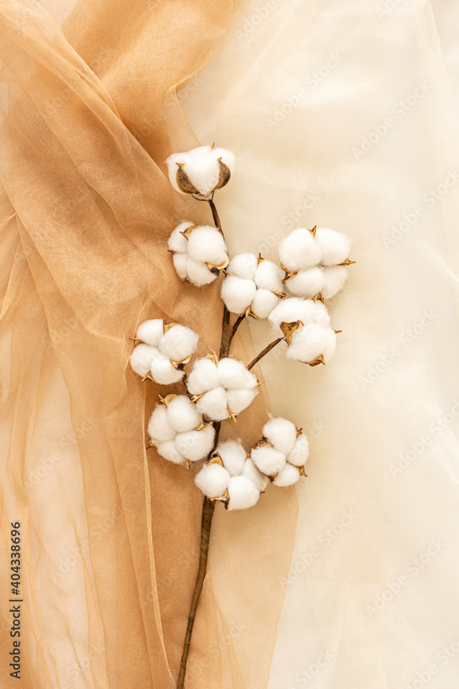 cotton branch on white and brown tulle