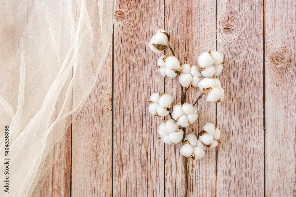 cotton branch on wooden table and tulle cloth cotton branch on wooden table and tulle cloth