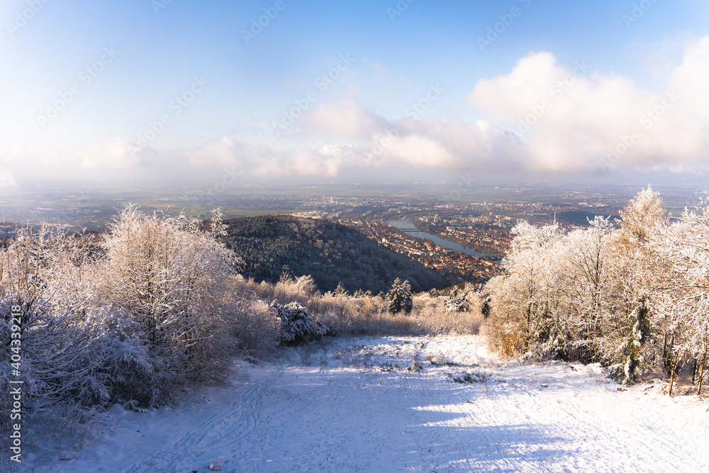 View from the top of Koenigstuhl View from the top of Koenigstuhl